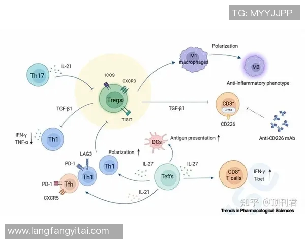 数据透视三分王本赛季投射起伏状态背后潜在原因与未来走势分析 数据透视三分王本赛季投射起伏状态背后潜在原因与未来走势分析